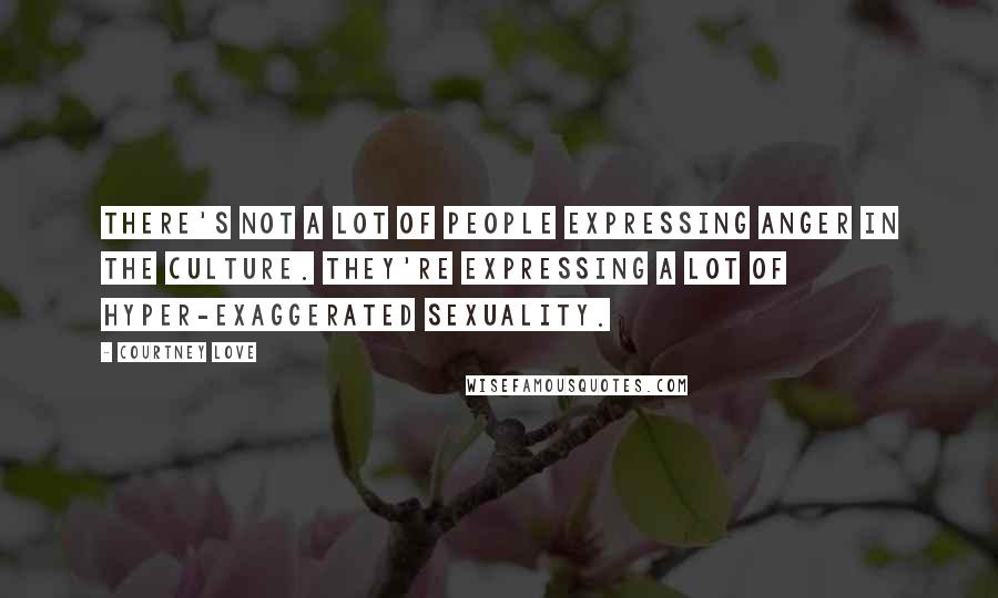 Courtney Love Quotes: There's not a lot of people expressing anger in the culture. They're expressing a lot of hyper-exaggerated sexuality.