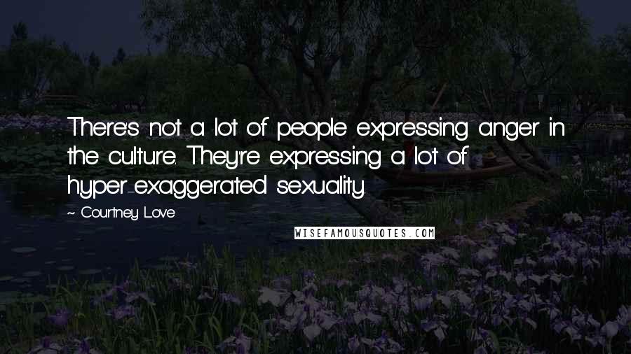 Courtney Love Quotes: There's not a lot of people expressing anger in the culture. They're expressing a lot of hyper-exaggerated sexuality.