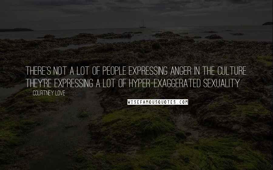 Courtney Love Quotes: There's not a lot of people expressing anger in the culture. They're expressing a lot of hyper-exaggerated sexuality.