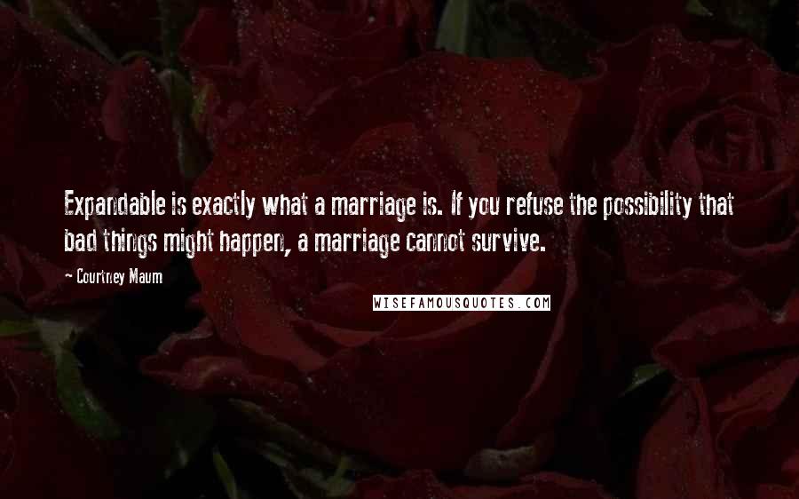 Courtney Maum Quotes: Expandable is exactly what a marriage is. If you refuse the possibility that bad things might happen, a marriage cannot survive.