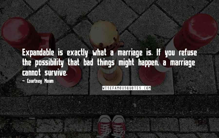 Courtney Maum Quotes: Expandable is exactly what a marriage is. If you refuse the possibility that bad things might happen, a marriage cannot survive.