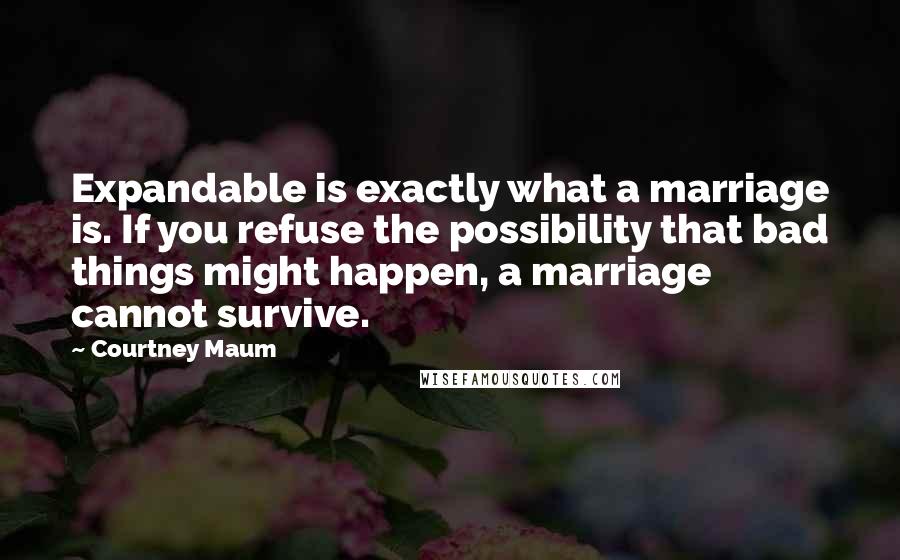 Courtney Maum Quotes: Expandable is exactly what a marriage is. If you refuse the possibility that bad things might happen, a marriage cannot survive.