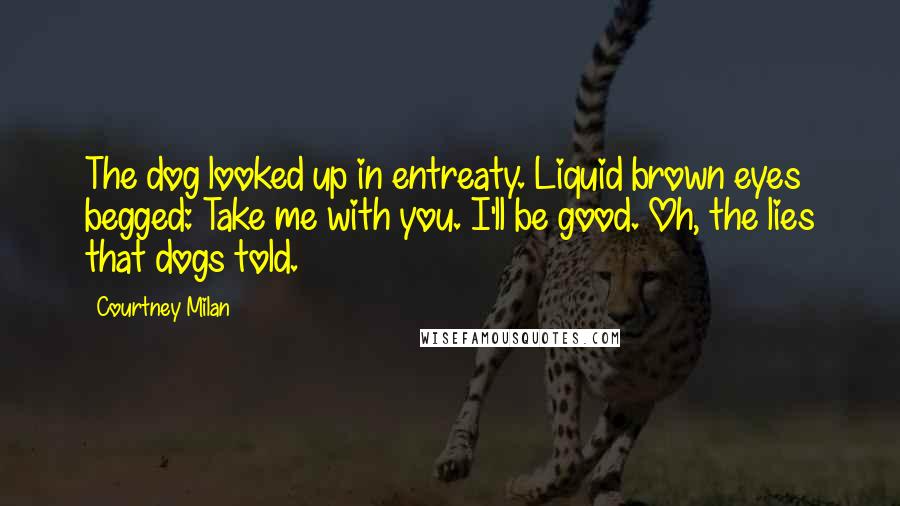 Courtney Milan Quotes: The dog looked up in entreaty. Liquid brown eyes begged: Take me with you. I'll be good. Oh, the lies that dogs told.