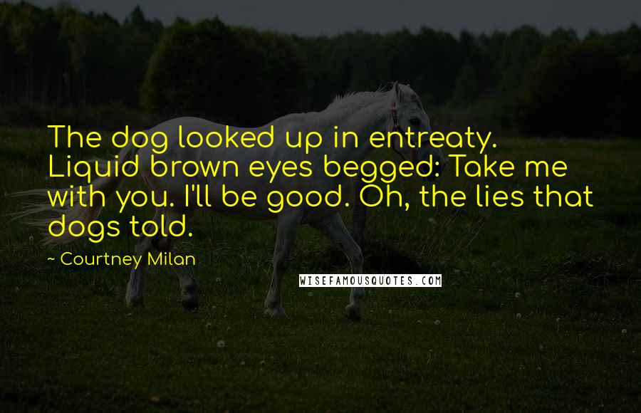 Courtney Milan Quotes: The dog looked up in entreaty. Liquid brown eyes begged: Take me with you. I'll be good. Oh, the lies that dogs told.