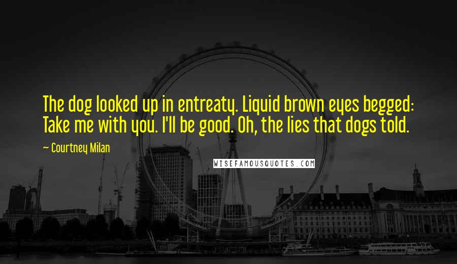 Courtney Milan Quotes: The dog looked up in entreaty. Liquid brown eyes begged: Take me with you. I'll be good. Oh, the lies that dogs told.