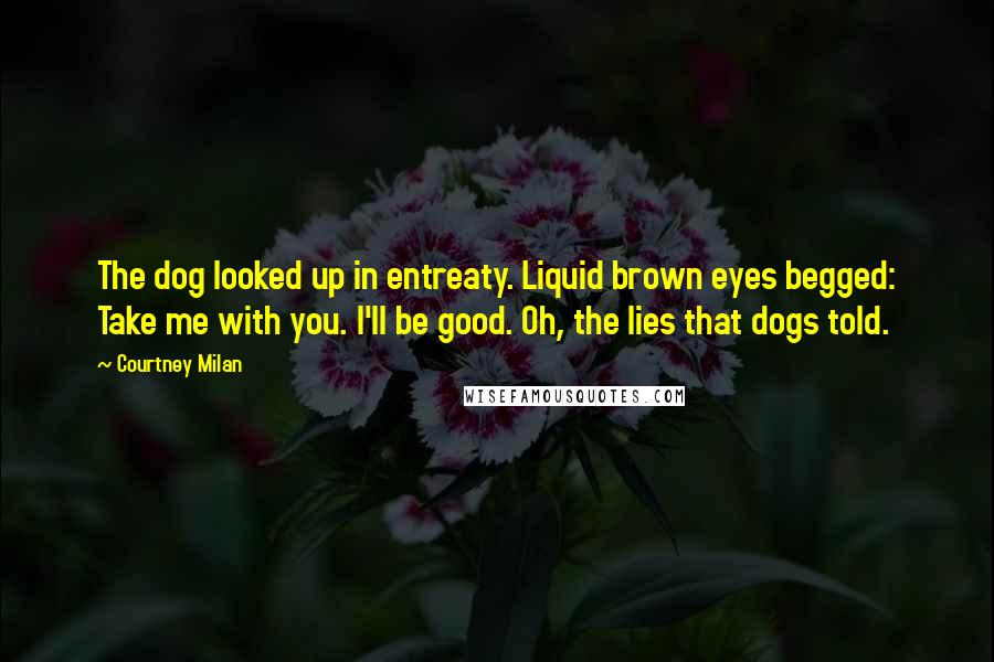 Courtney Milan Quotes: The dog looked up in entreaty. Liquid brown eyes begged: Take me with you. I'll be good. Oh, the lies that dogs told.