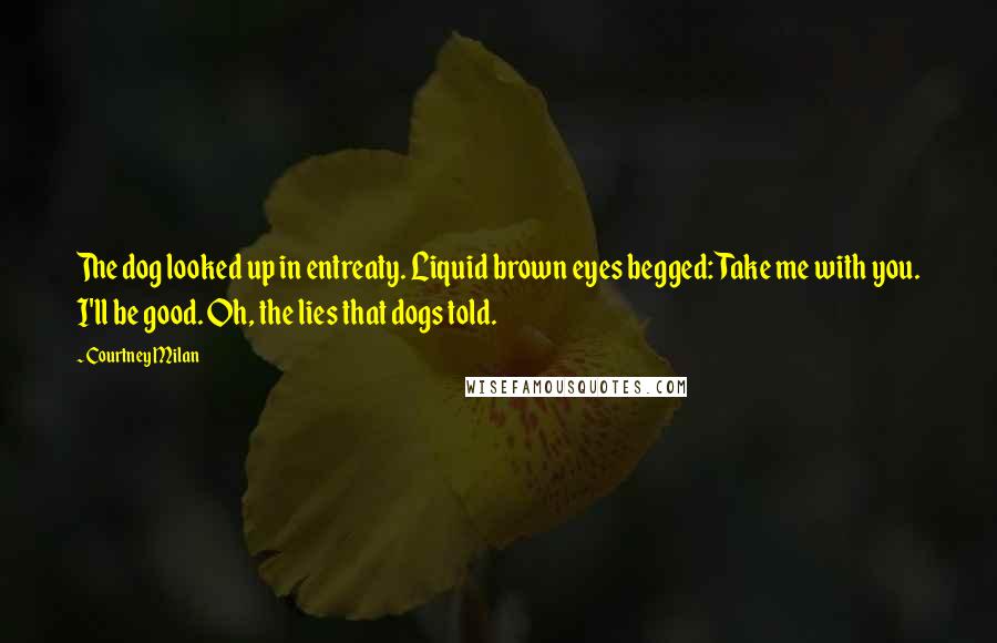 Courtney Milan Quotes: The dog looked up in entreaty. Liquid brown eyes begged: Take me with you. I'll be good. Oh, the lies that dogs told.