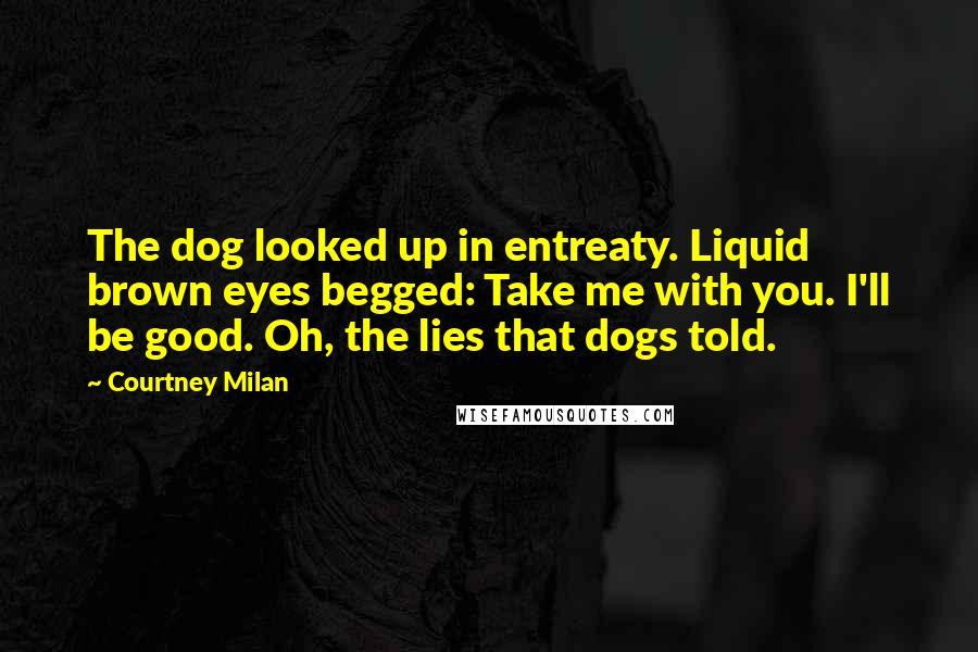 Courtney Milan Quotes: The dog looked up in entreaty. Liquid brown eyes begged: Take me with you. I'll be good. Oh, the lies that dogs told.