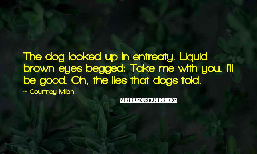 Courtney Milan Quotes: The dog looked up in entreaty. Liquid brown eyes begged: Take me with you. I'll be good. Oh, the lies that dogs told.