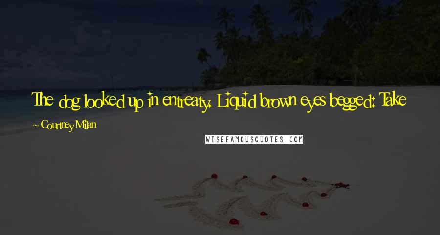 Courtney Milan Quotes: The dog looked up in entreaty. Liquid brown eyes begged: Take me with you. I'll be good. Oh, the lies that dogs told.