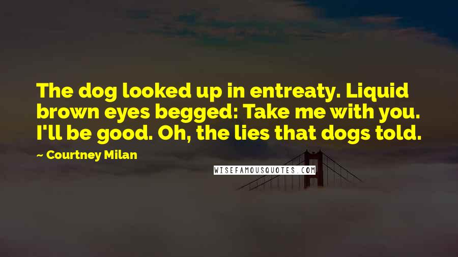 Courtney Milan Quotes: The dog looked up in entreaty. Liquid brown eyes begged: Take me with you. I'll be good. Oh, the lies that dogs told.