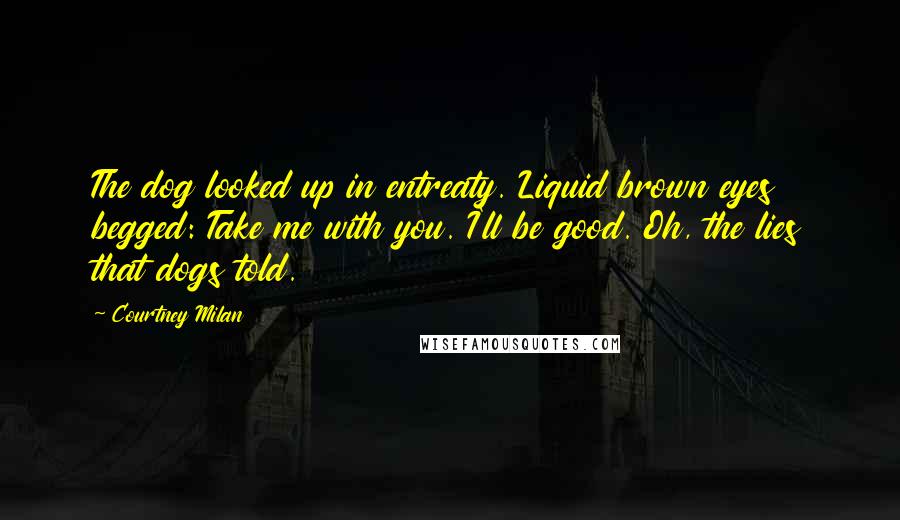 Courtney Milan Quotes: The dog looked up in entreaty. Liquid brown eyes begged: Take me with you. I'll be good. Oh, the lies that dogs told.