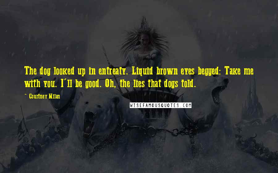 Courtney Milan Quotes: The dog looked up in entreaty. Liquid brown eyes begged: Take me with you. I'll be good. Oh, the lies that dogs told.