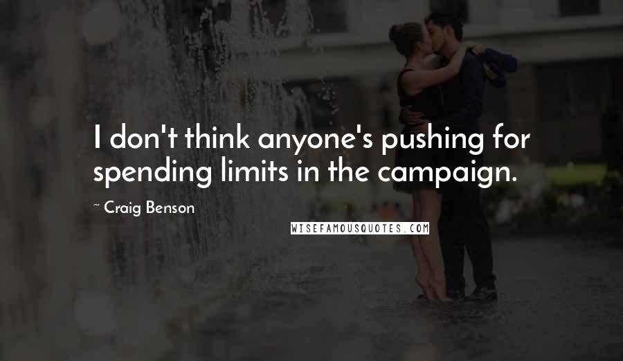 Craig Benson Quotes: I don't think anyone's pushing for spending limits in the campaign.