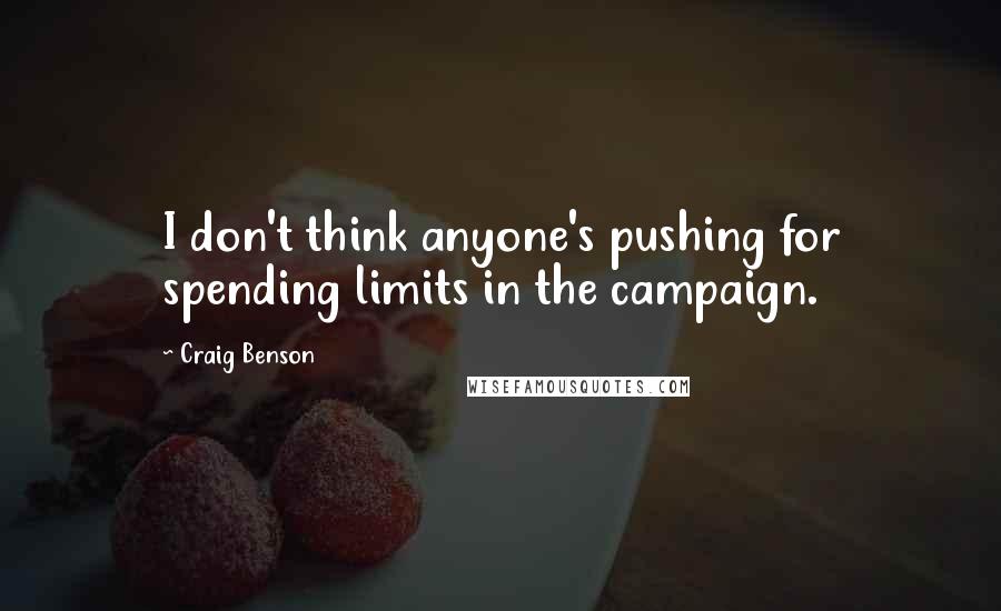 Craig Benson Quotes: I don't think anyone's pushing for spending limits in the campaign.