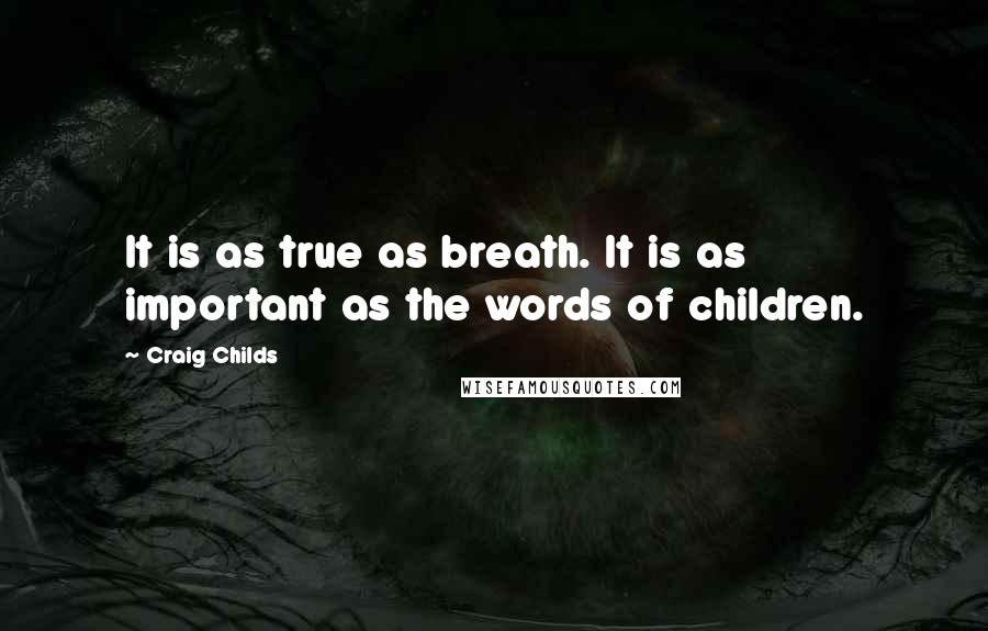 Craig Childs Quotes: It is as true as breath. It is as important as the words of children.