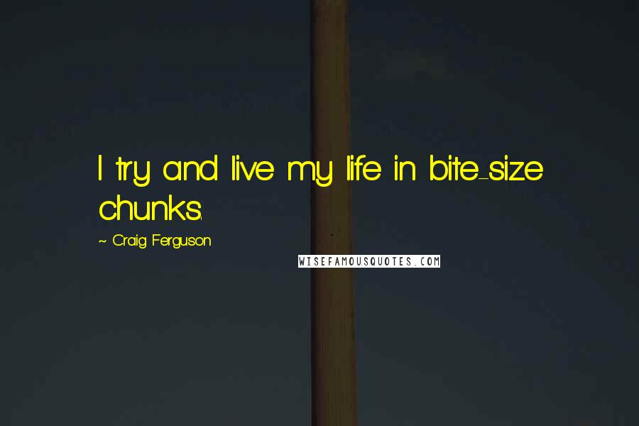 Craig Ferguson Quotes: I try and live my life in bite-size chunks.
