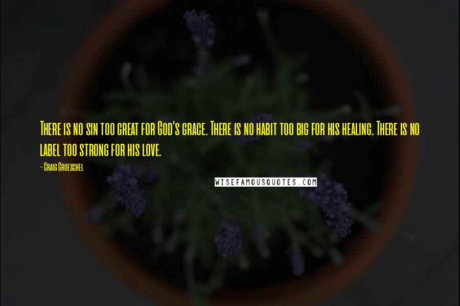 Craig Groeschel Quotes: There is no sin too great for God's grace. There is no habit too big for his healing. There is no label too strong for his love.