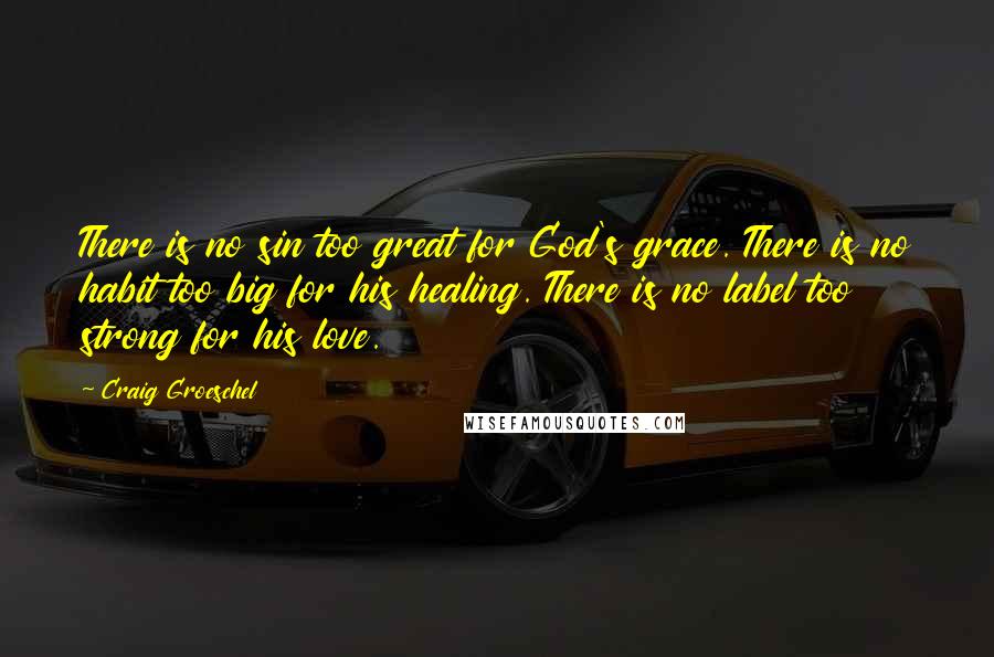 Craig Groeschel Quotes: There is no sin too great for God's grace. There is no habit too big for his healing. There is no label too strong for his love.