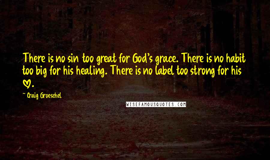 Craig Groeschel Quotes: There is no sin too great for God's grace. There is no habit too big for his healing. There is no label too strong for his love.