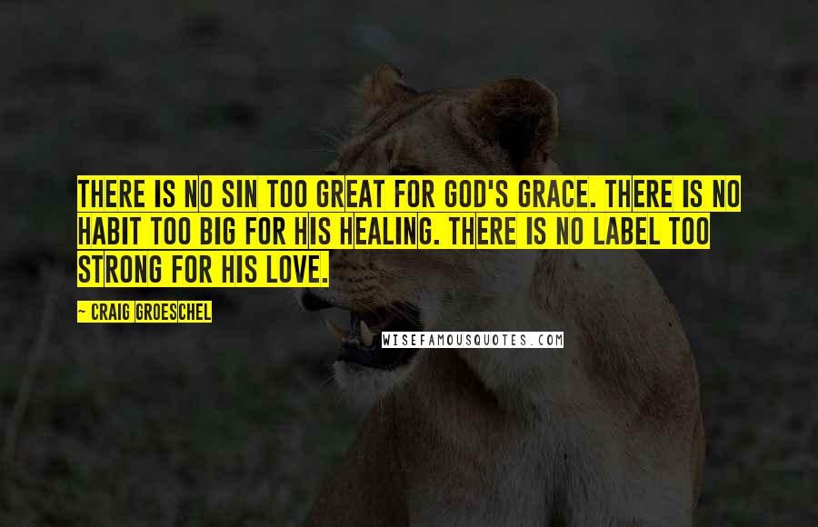 Craig Groeschel Quotes: There is no sin too great for God's grace. There is no habit too big for his healing. There is no label too strong for his love.
