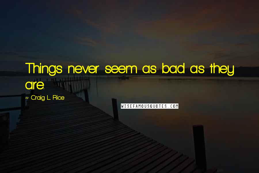 Craig L. Rice Quotes: Things never seem as bad as they are.