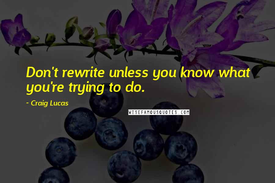 Craig Lucas Quotes: Don't rewrite unless you know what you're trying to do.