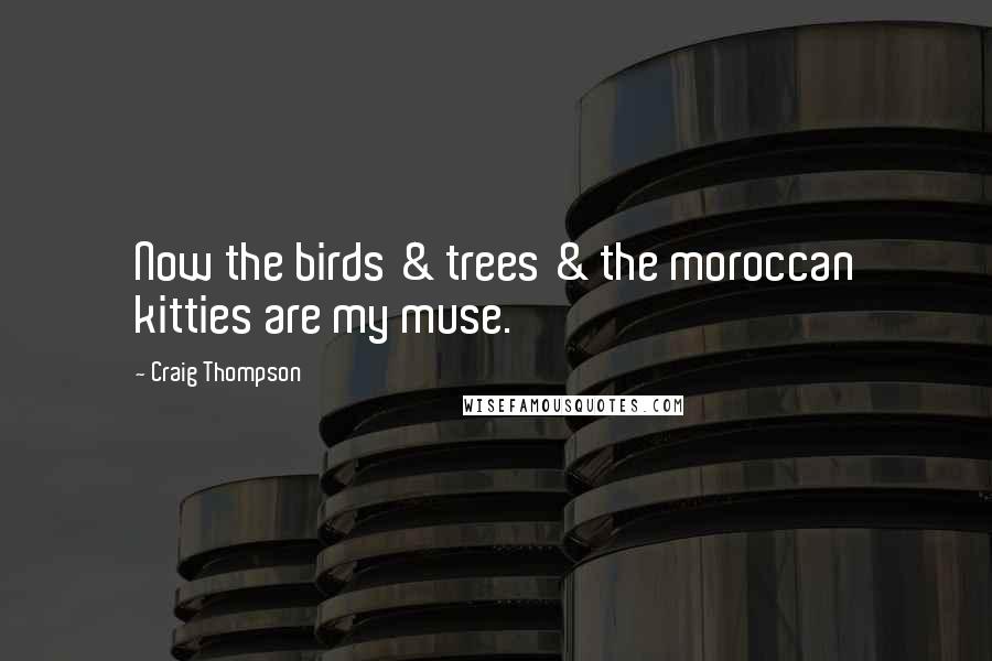 Craig Thompson Quotes: Now the birds & trees & the moroccan kitties are my muse.