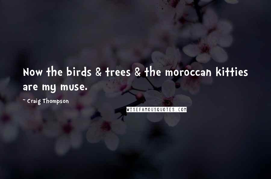 Craig Thompson Quotes: Now the birds & trees & the moroccan kitties are my muse.