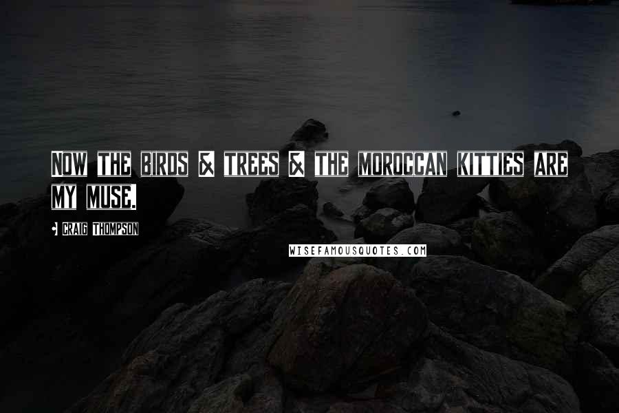 Craig Thompson Quotes: Now the birds & trees & the moroccan kitties are my muse.