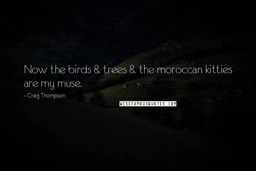 Craig Thompson Quotes: Now the birds & trees & the moroccan kitties are my muse.