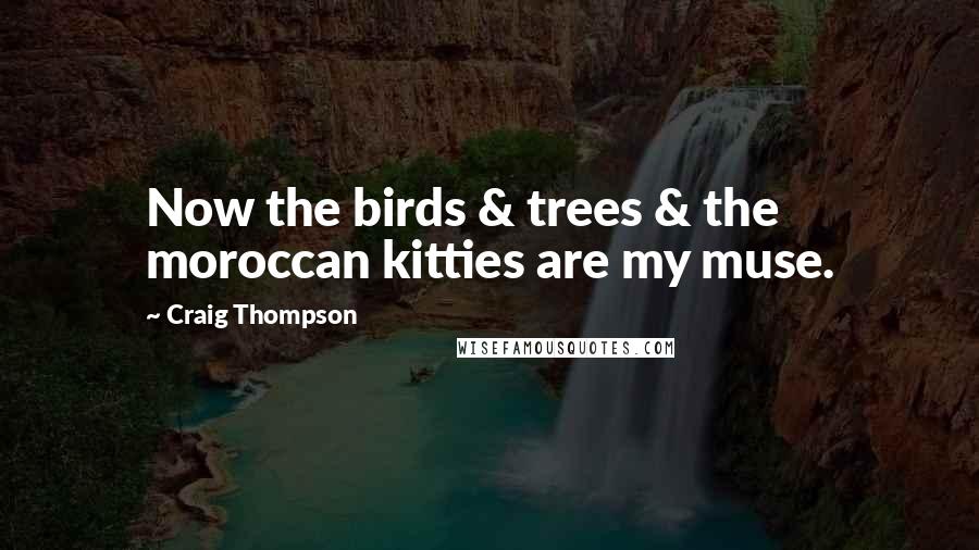Craig Thompson Quotes: Now the birds & trees & the moroccan kitties are my muse.