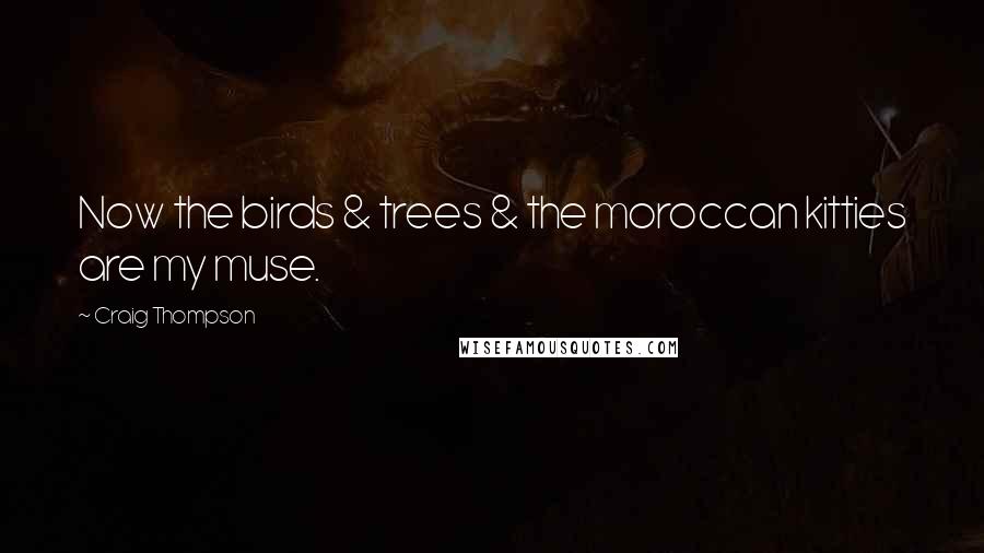 Craig Thompson Quotes: Now the birds & trees & the moroccan kitties are my muse.