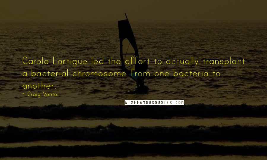 Craig Venter Quotes: Carole Lartigue led the effort to actually transplant a bacterial chromosome from one bacteria to another.