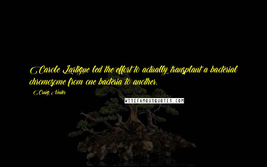 Craig Venter Quotes: Carole Lartigue led the effort to actually transplant a bacterial chromosome from one bacteria to another.