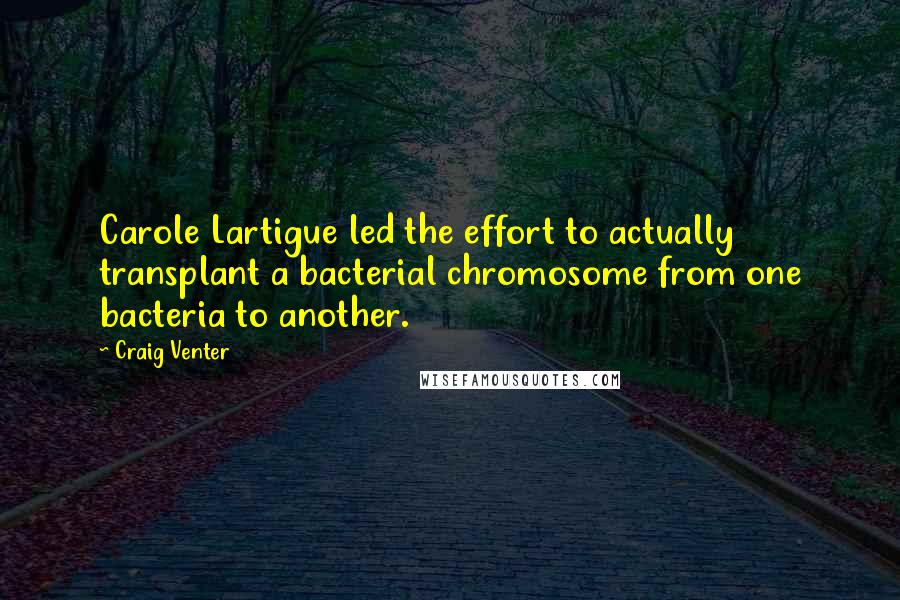 Craig Venter Quotes: Carole Lartigue led the effort to actually transplant a bacterial chromosome from one bacteria to another.