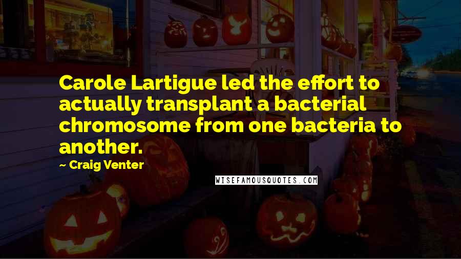 Craig Venter Quotes: Carole Lartigue led the effort to actually transplant a bacterial chromosome from one bacteria to another.