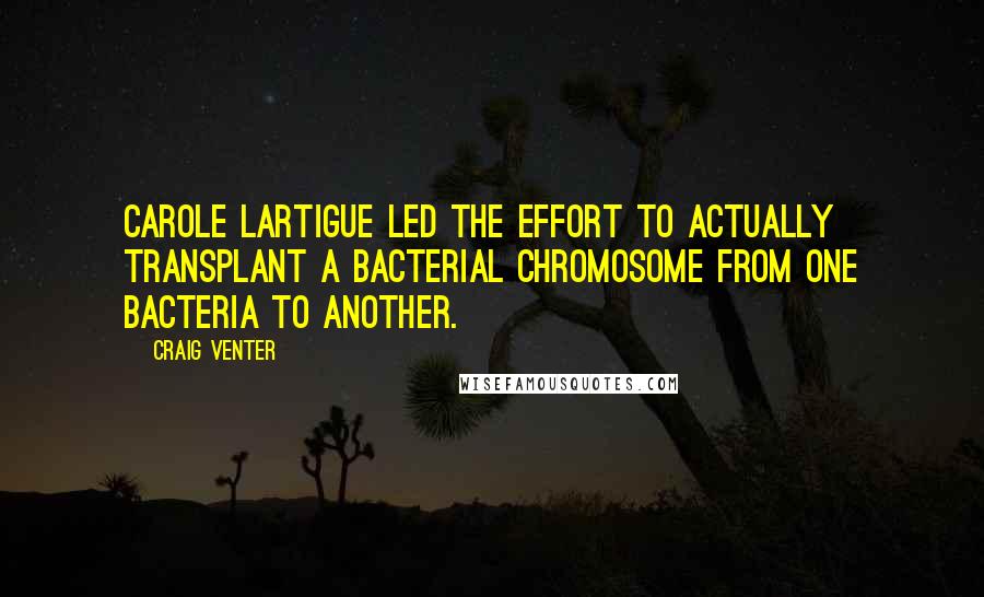 Craig Venter Quotes: Carole Lartigue led the effort to actually transplant a bacterial chromosome from one bacteria to another.