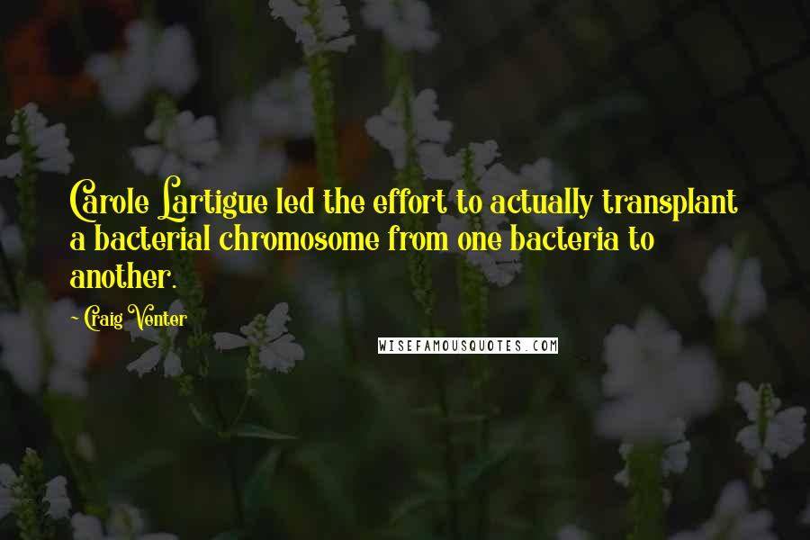 Craig Venter Quotes: Carole Lartigue led the effort to actually transplant a bacterial chromosome from one bacteria to another.