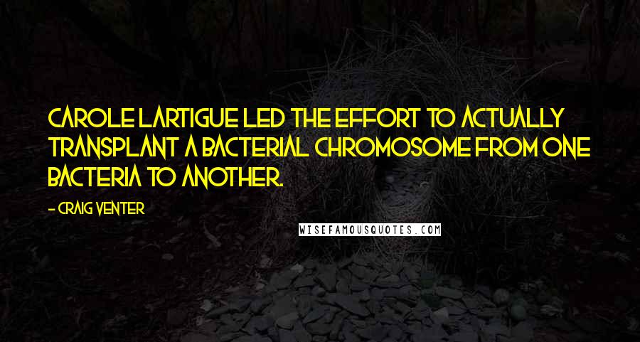 Craig Venter Quotes: Carole Lartigue led the effort to actually transplant a bacterial chromosome from one bacteria to another.