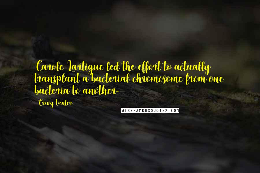 Craig Venter Quotes: Carole Lartigue led the effort to actually transplant a bacterial chromosome from one bacteria to another.