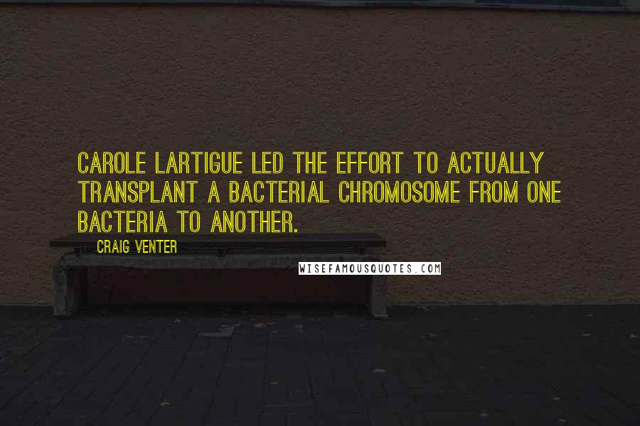 Craig Venter Quotes: Carole Lartigue led the effort to actually transplant a bacterial chromosome from one bacteria to another.