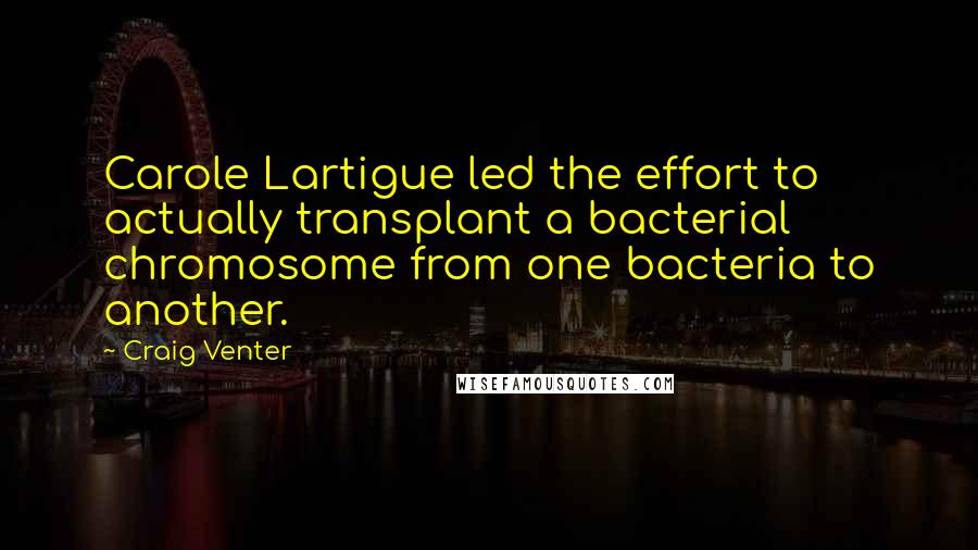 Craig Venter Quotes: Carole Lartigue led the effort to actually transplant a bacterial chromosome from one bacteria to another.