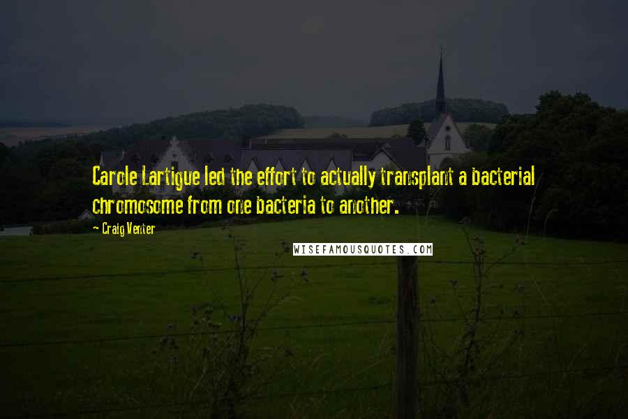 Craig Venter Quotes: Carole Lartigue led the effort to actually transplant a bacterial chromosome from one bacteria to another.