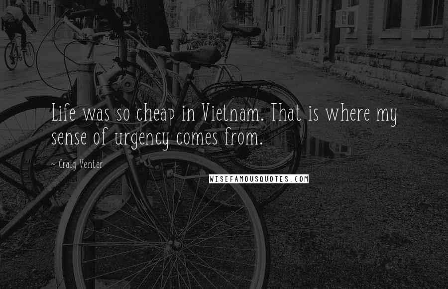 Craig Venter Quotes: Life was so cheap in Vietnam. That is where my sense of urgency comes from.