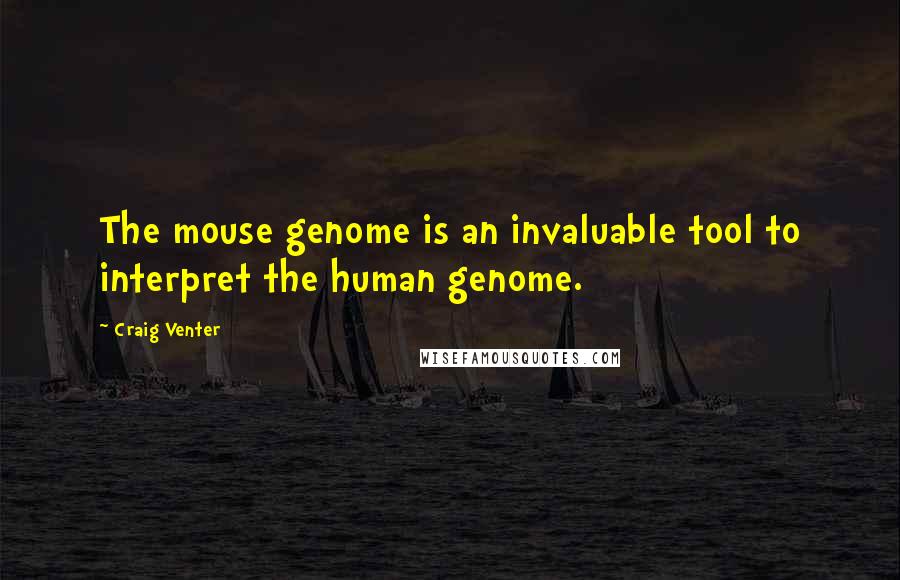 Craig Venter Quotes: The mouse genome is an invaluable tool to interpret the human genome.