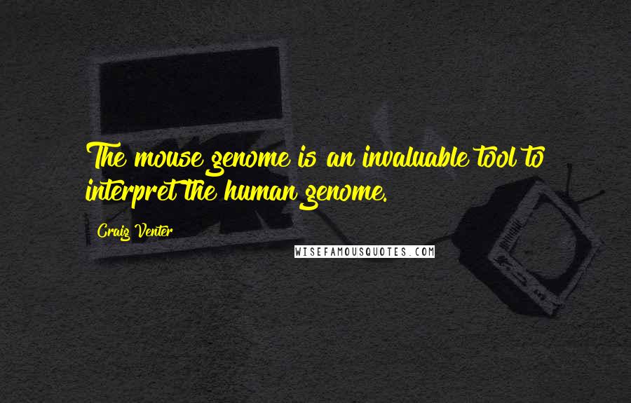 Craig Venter Quotes: The mouse genome is an invaluable tool to interpret the human genome.