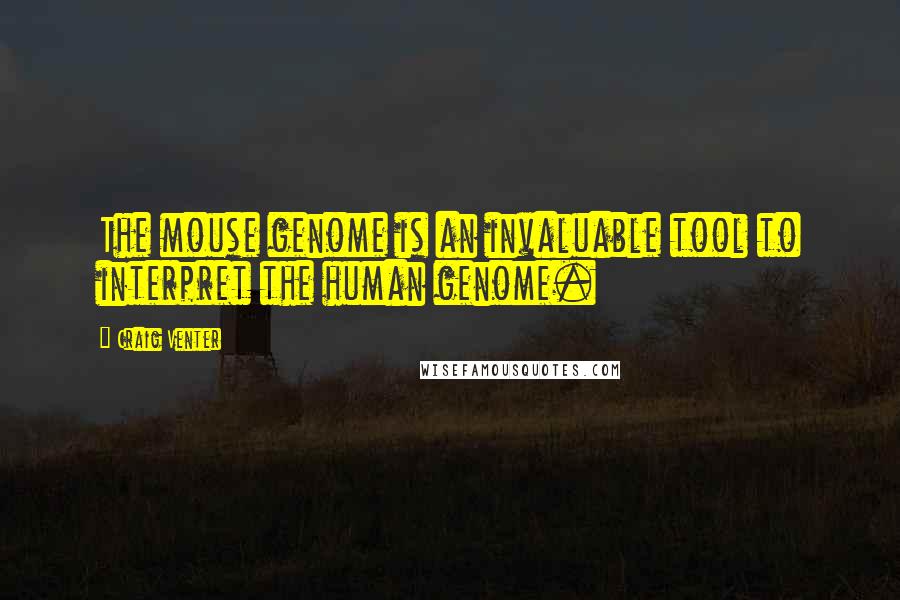 Craig Venter Quotes: The mouse genome is an invaluable tool to interpret the human genome.