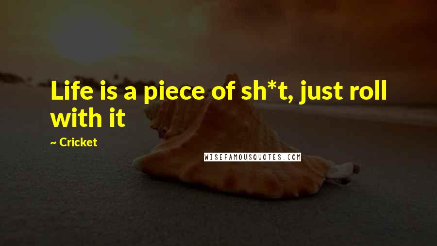 Cricket Quotes: Life is a piece of sh*t, just roll with it