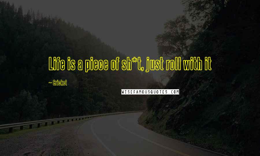 Cricket Quotes: Life is a piece of sh*t, just roll with it